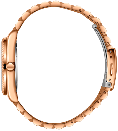 BP3172C.431-3 BP3172C.431-3