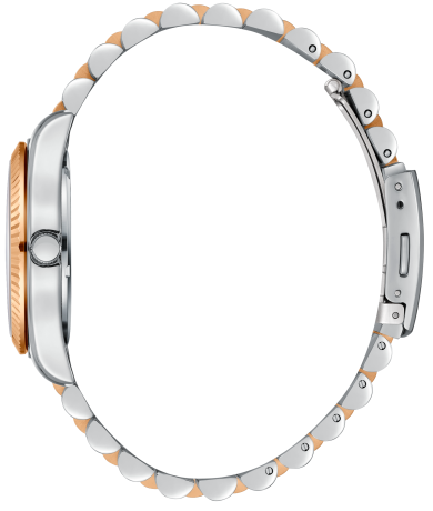 BP3169C.560-3 BP3169C.560-3