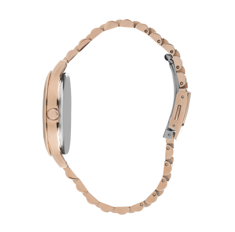 BP3196C.430-2 BP3196C.430-2