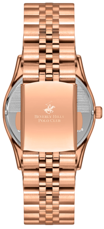 BP3169C.420-3 BP3169C.420-3