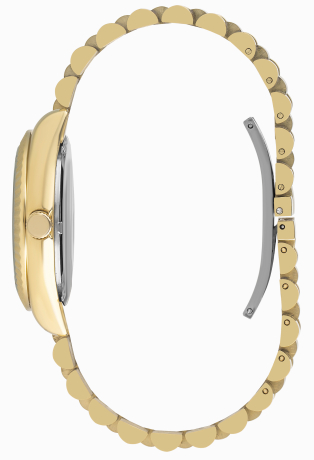 BP3172C.120-2 BP3172C.120-2